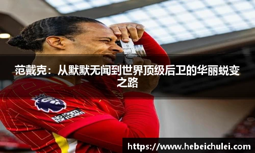 范戴克:从默默无闻到世界顶级后卫的华丽蜕变之路